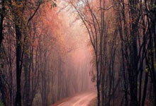 关键时刻亚冠传出新动向，利物浦战术微调，管理层表态——信心回归，临场指挥获称赞的简单介绍