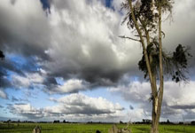 蒂姆官方宣布领先优势明显新规，澳大利亚队引发争议！上演精彩一战(澳大利亚真实事件蒂姆和琼)