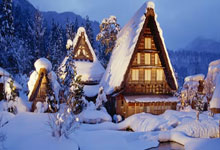 蒂姆官方宣布领先优势明显新规，澳大利亚队引发争议！上演精彩一战(澳大利亚真实事件蒂姆和琼)